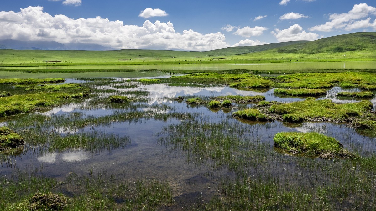 盛夏七月去看高原