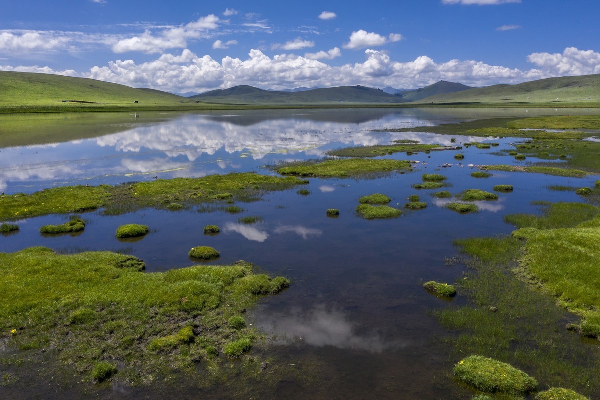 盛夏七月去看高原