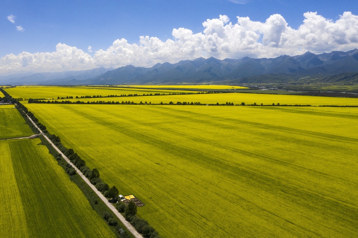 盛夏七月去看高原