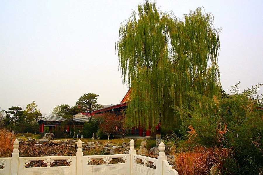 《不老松：纪实摄影》【山河锦绣】（06）雄安郊野公园：保定园！