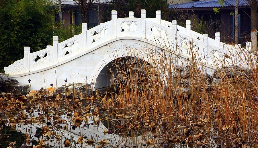 《不老松：纪实摄影》【山河锦绣】（06）雄安郊野公园：保定园！