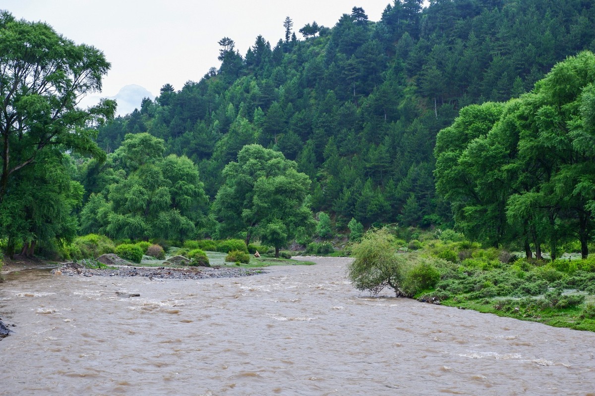 我只是把出去看到的随手记录下来（115）