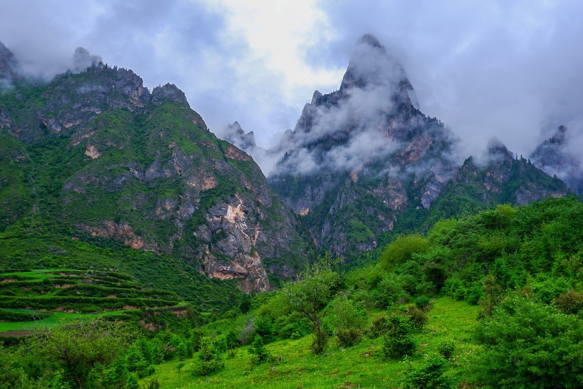 我只是把出去看到的随手记录下来（115）