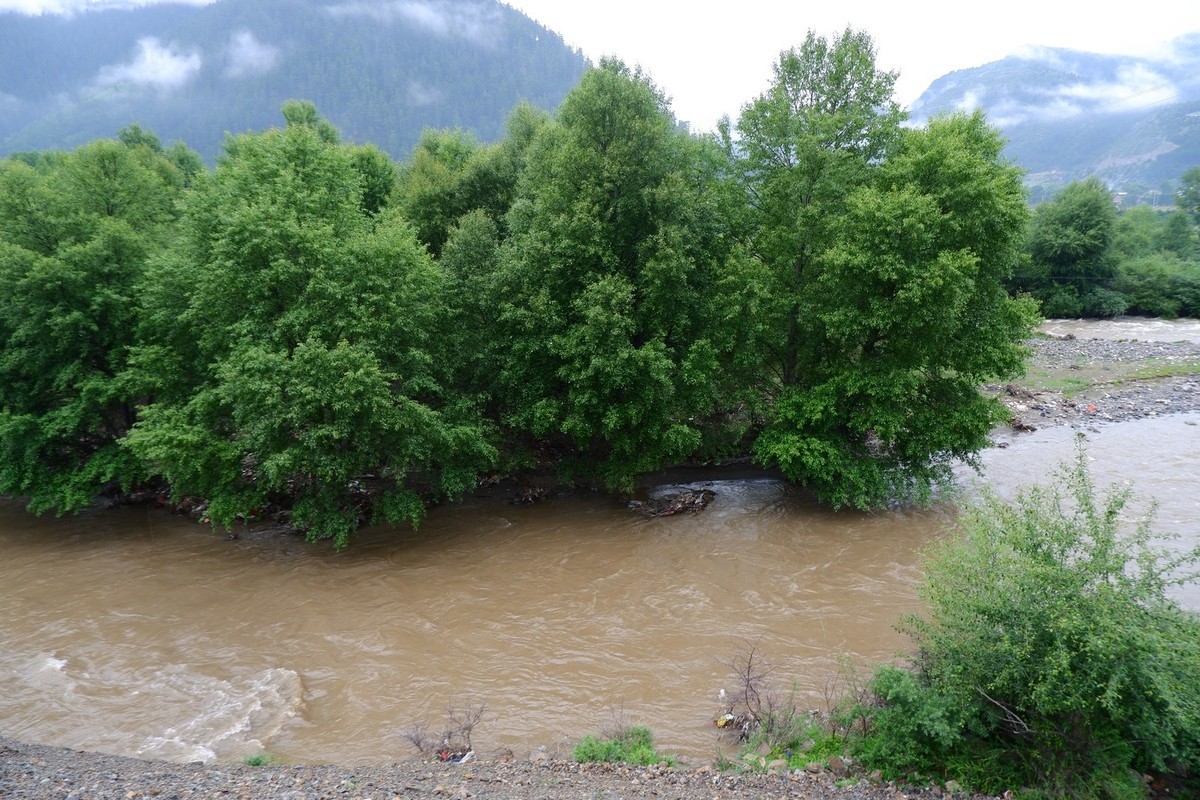 我只是把出去看到的随手记录下来（115）
