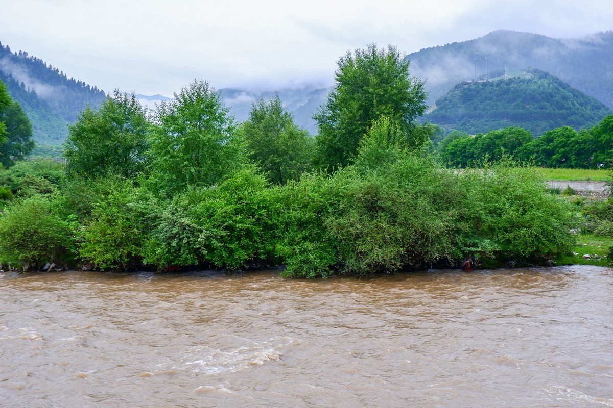 我只是把出去看到的随手记录下来（115）