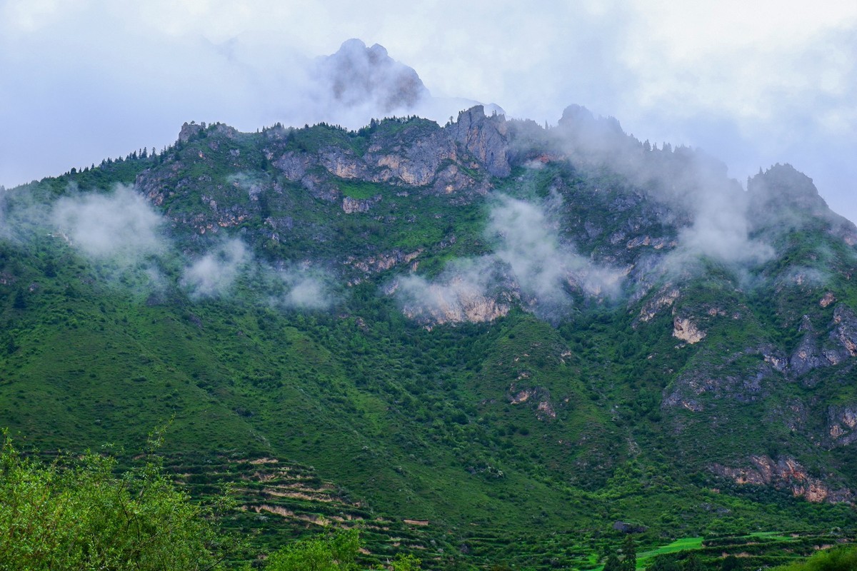 我只是把出去看到的随手记录下来（115）