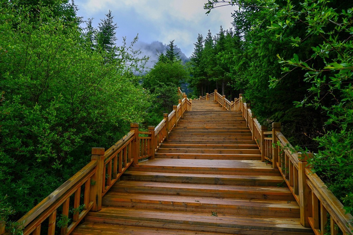 我只是把出去看到的随手记录下来（115）