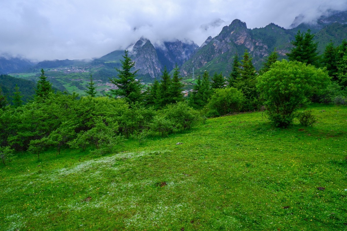 我只是把出去看到的随手记录下来（115）