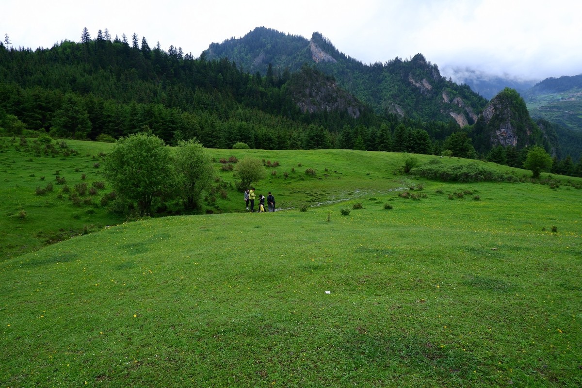 我只是把出去看到的随手记录下来（115）