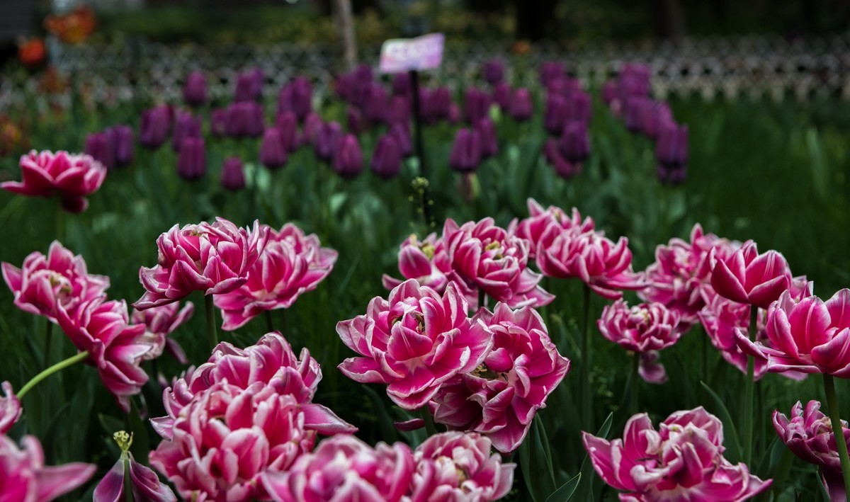 3月27日杭州太子湾