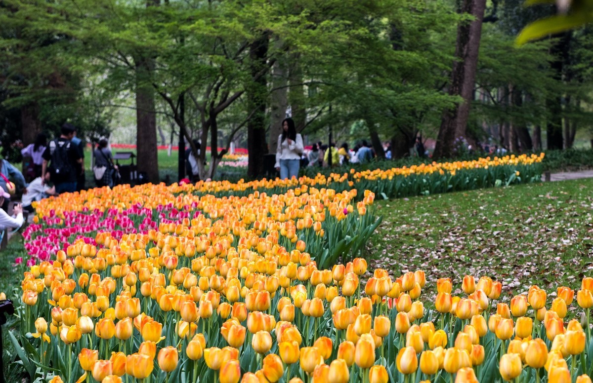 3月27日杭州太子湾