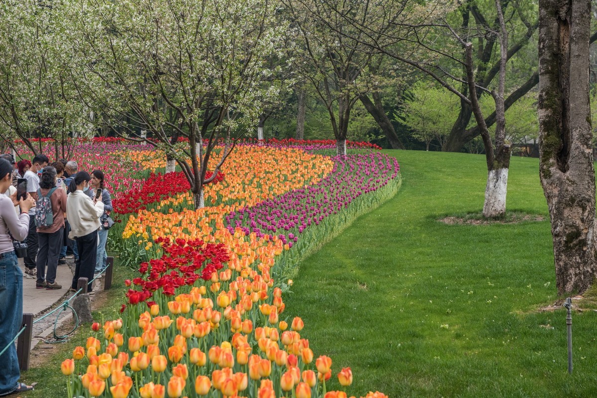 3月27日杭州太子湾