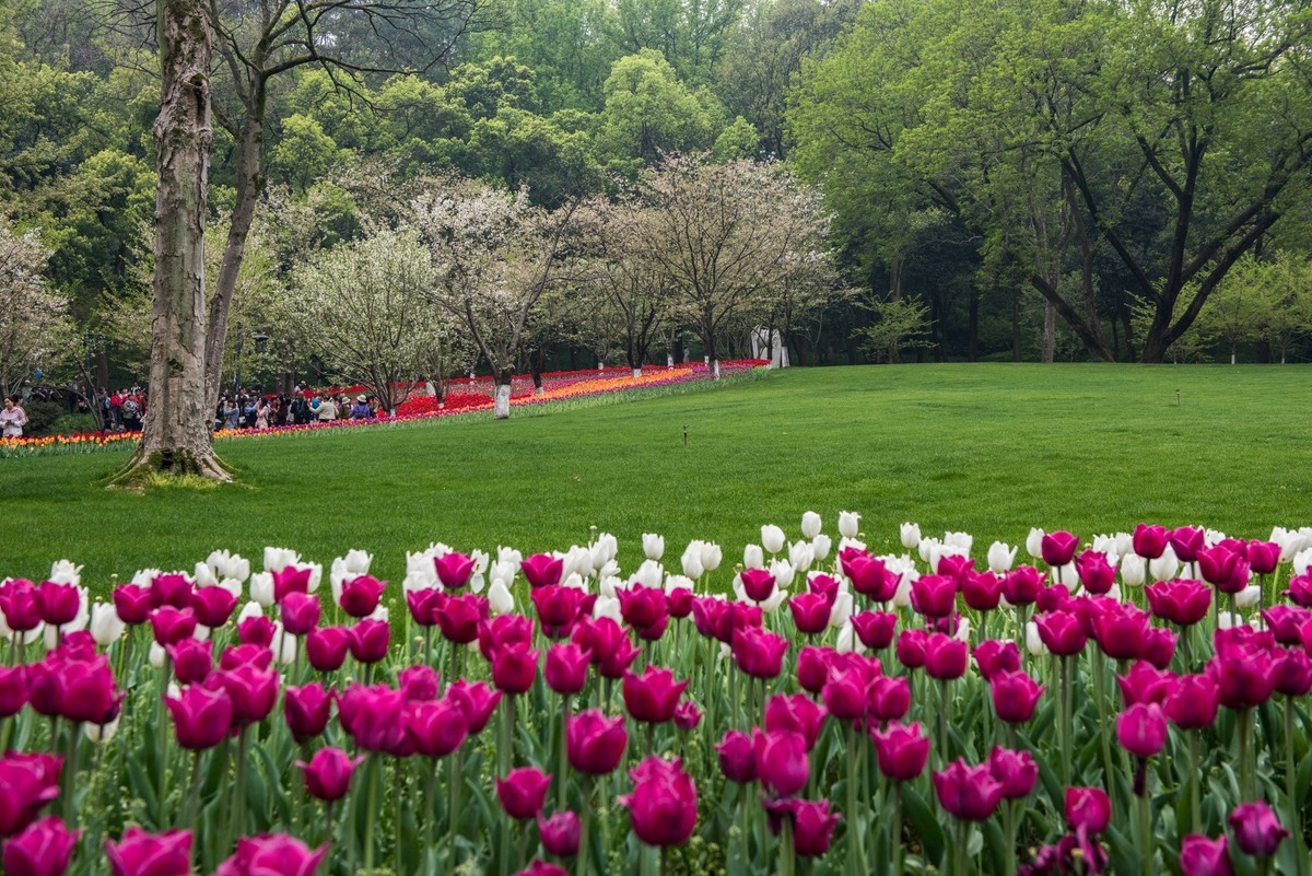3月27日杭州太子湾