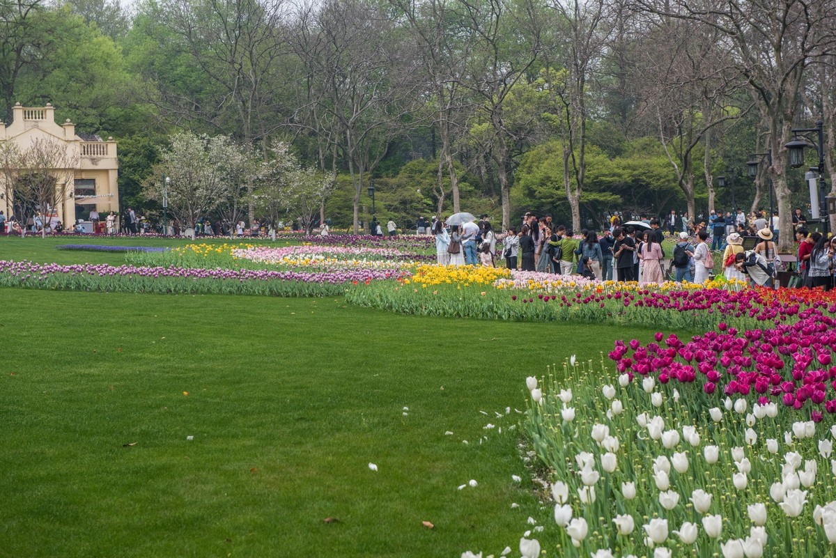 3月27日杭州太子湾