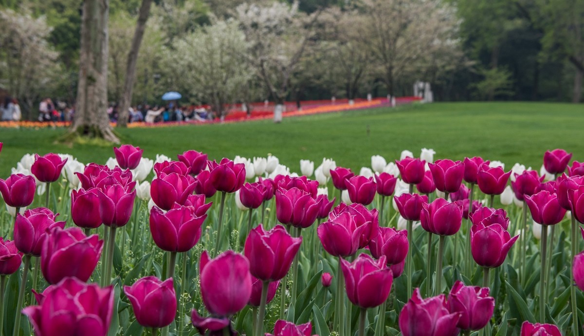 3月27日杭州太子湾