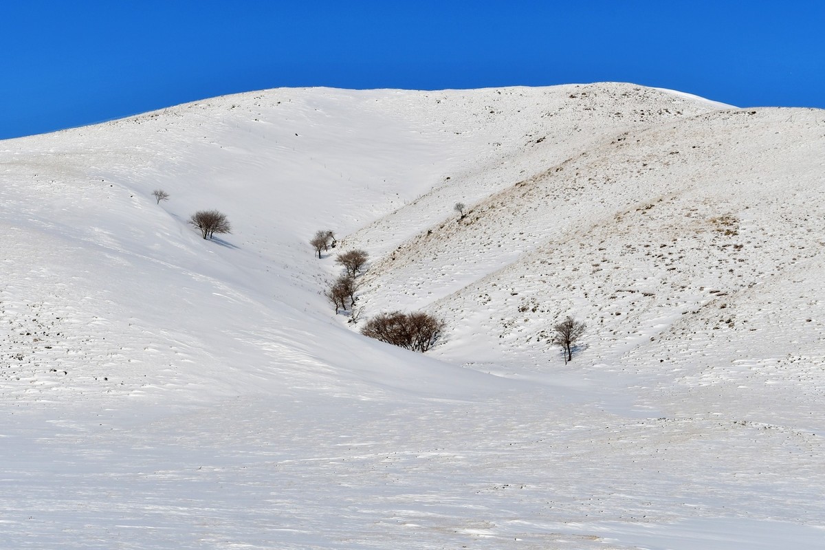 我只是把出去看到的随手记录下来（157）