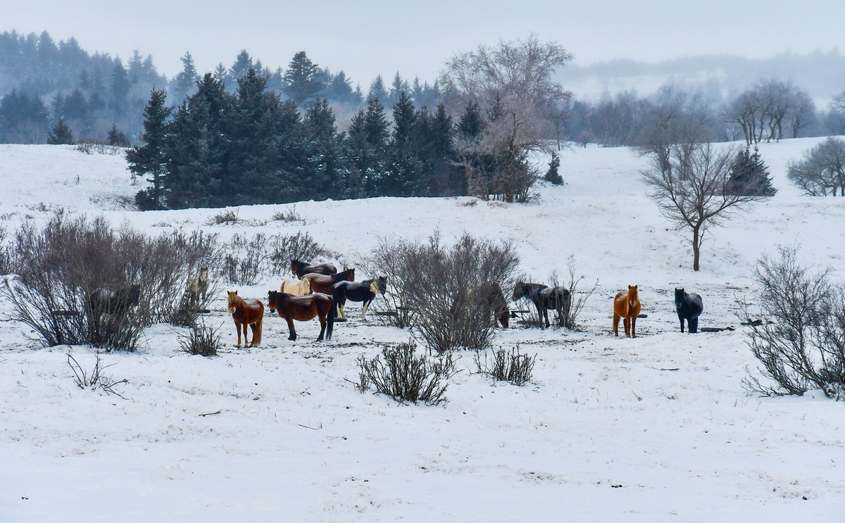 我只是把出去看到的随手记录下来（157）