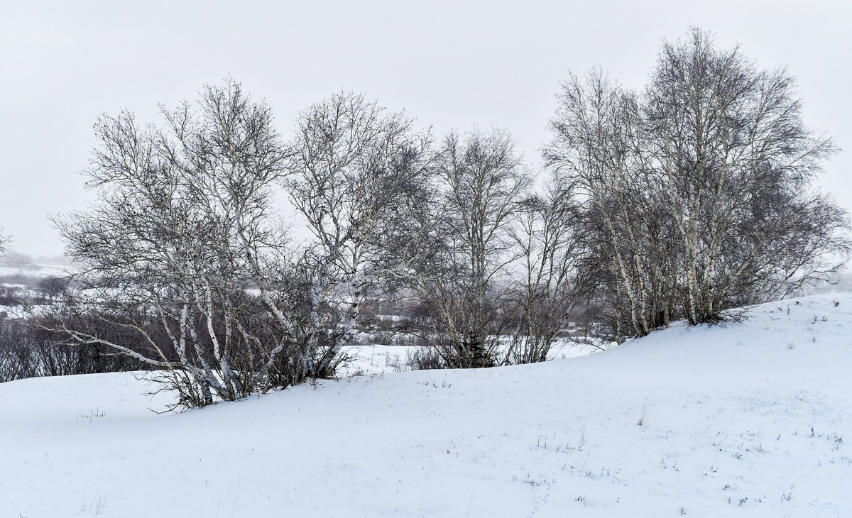 我只是把出去看到的随手记录下来（157）