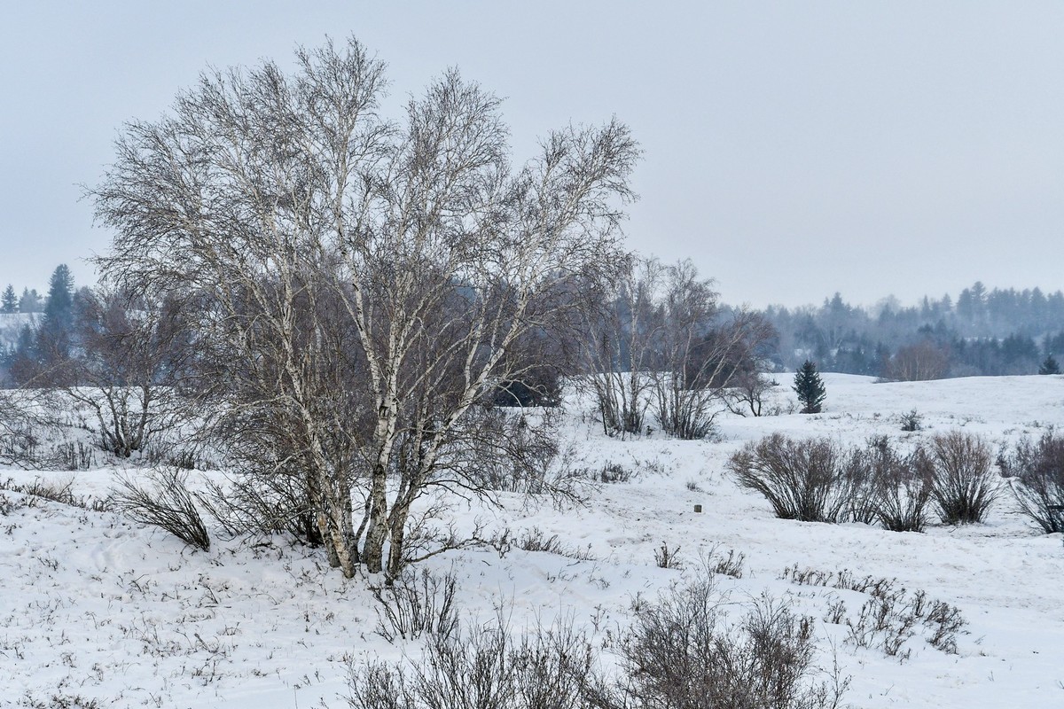 我只是把出去看到的随手记录下来（157）
