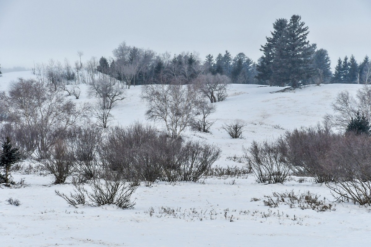 我只是把出去看到的随手记录下来（157）