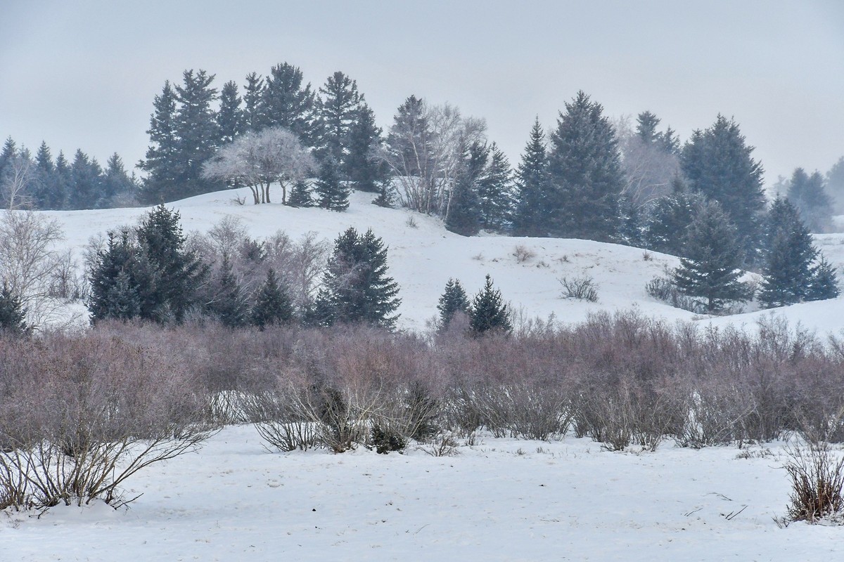 我只是把出去看到的随手记录下来（157）
