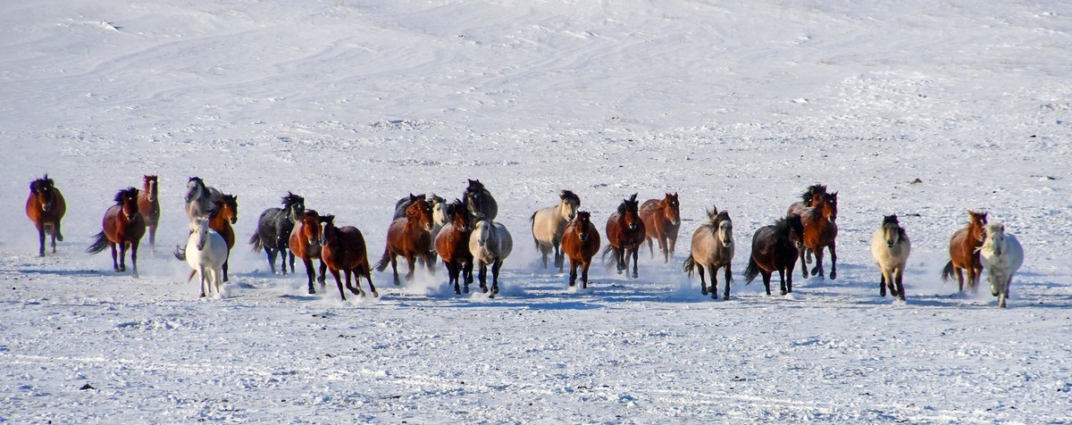 我只是把出去看到的随手记录下来（157）