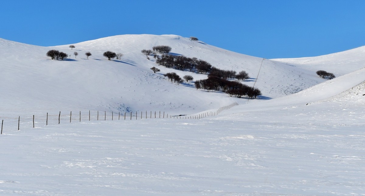 我只是把出去看到的随手记录下来（157）