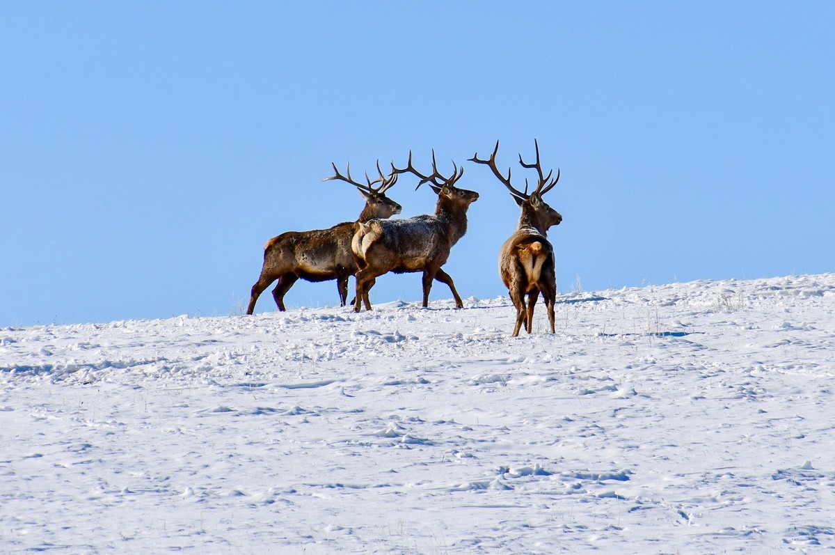 我只是把出去看到的随手记录下来（157）