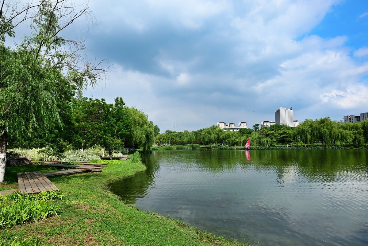 公园夏景-中关村在线摄影论坛