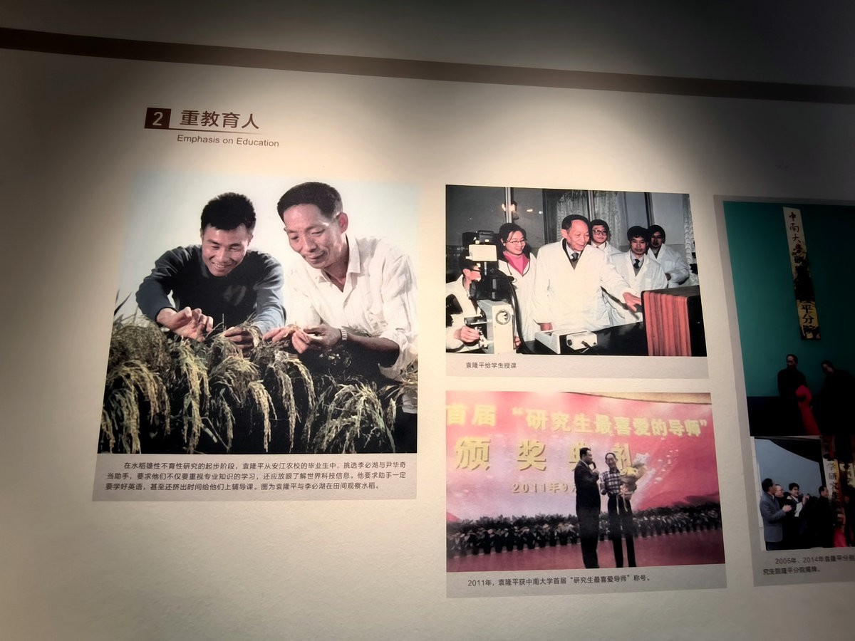 漫步星城 走街串巷（663）稻梦传承，精神永存