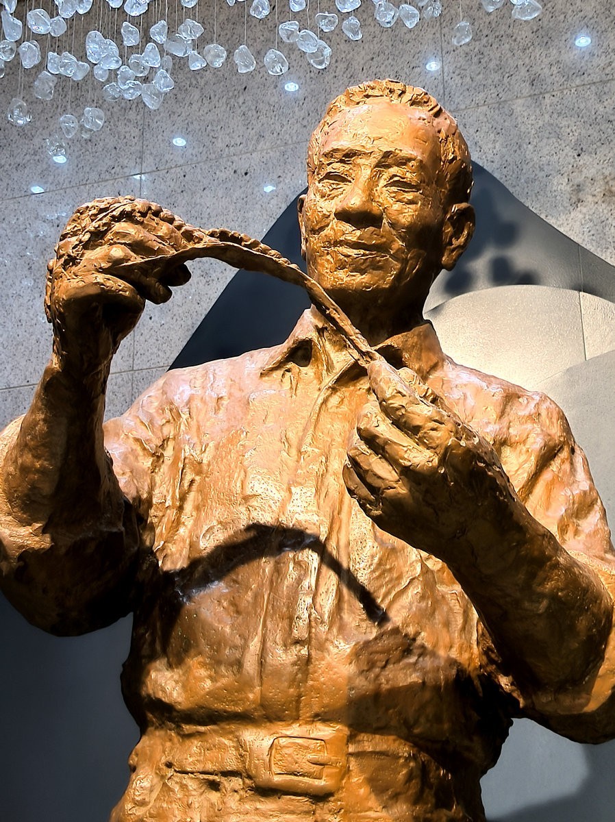 漫步星城 走街串巷（663）稻梦传承，精神永存