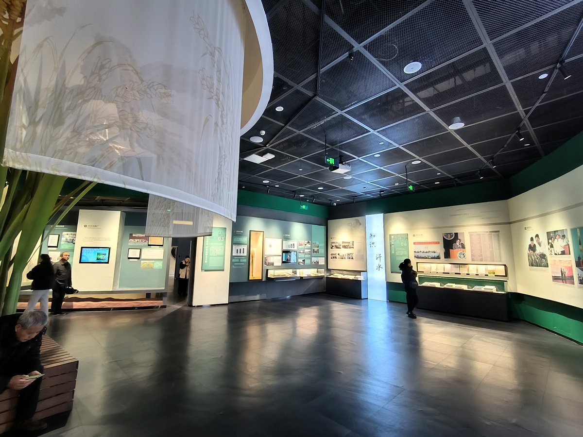 漫步星城 走街串巷（663）稻梦传承，精神永存