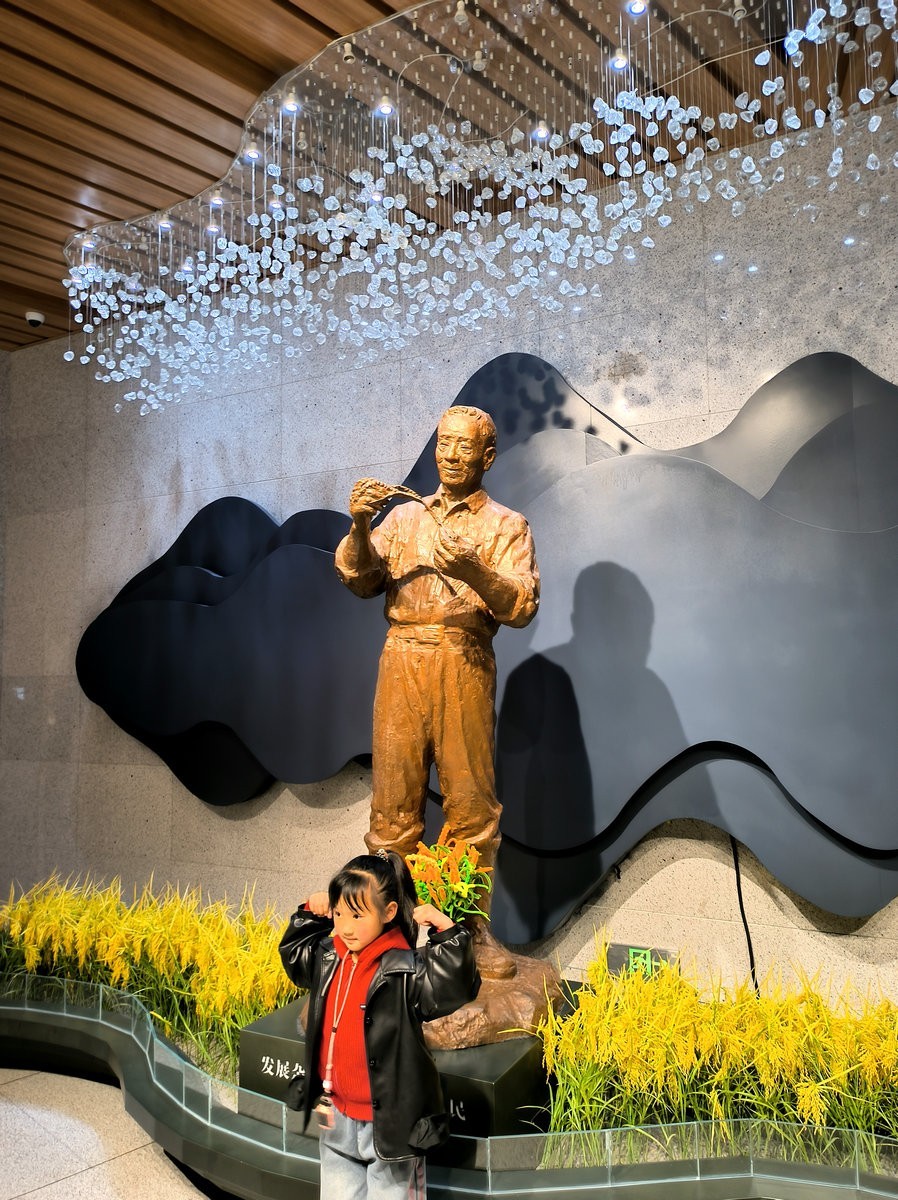 漫步星城 走街串巷（663）稻梦传承，精神永存