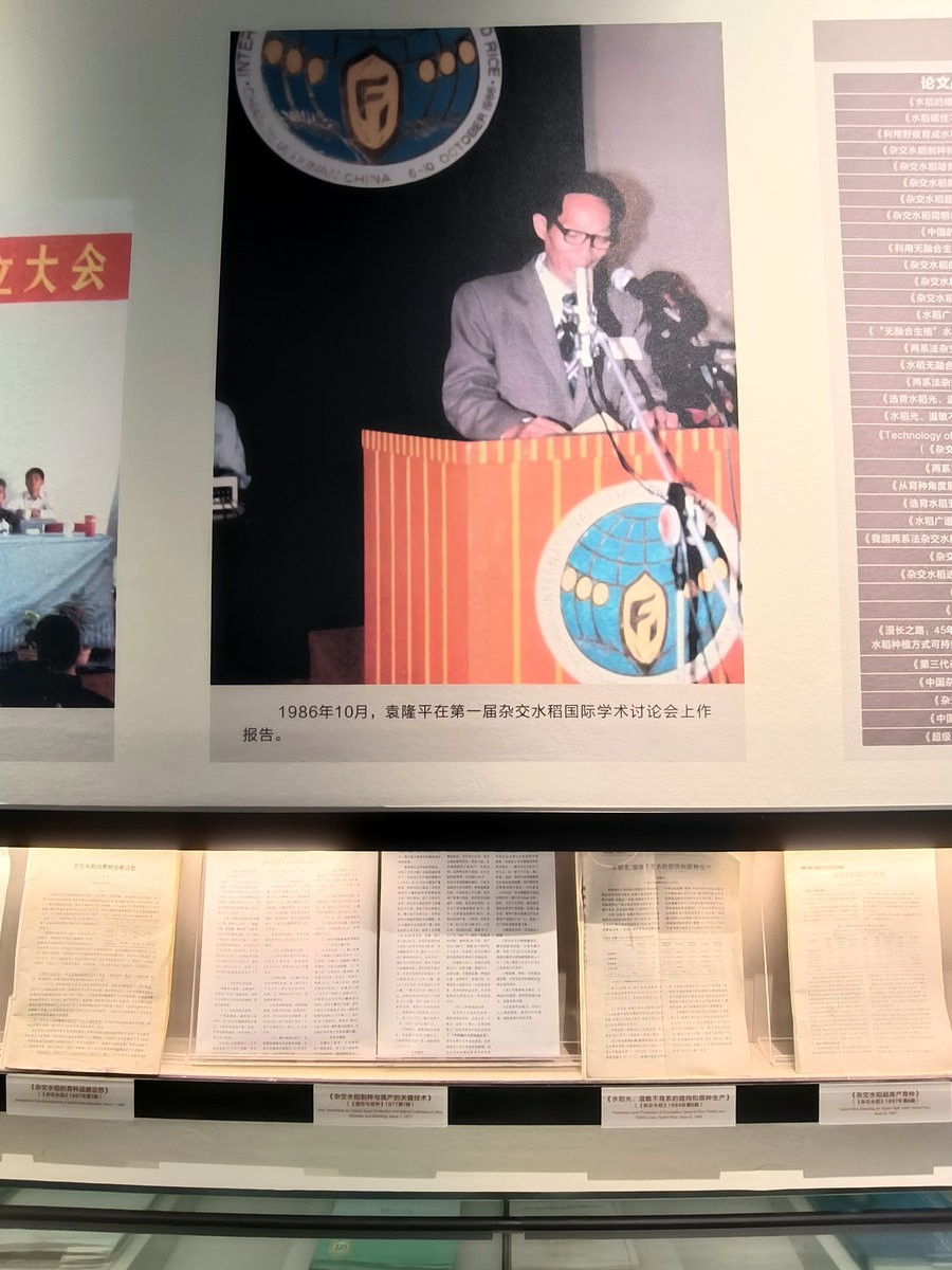 漫步星城 走街串巷（663）稻梦传承，精神永存