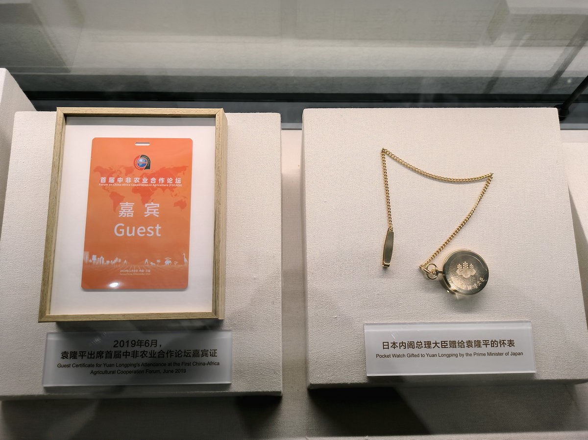 漫步星城 走街串巷（663）稻梦传承，精神永存