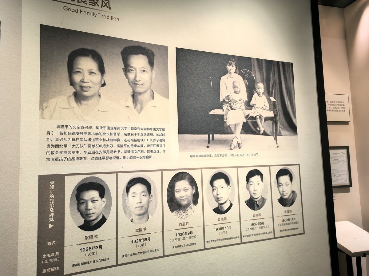 漫步星城 走街串巷（663）稻梦传承，精神永存