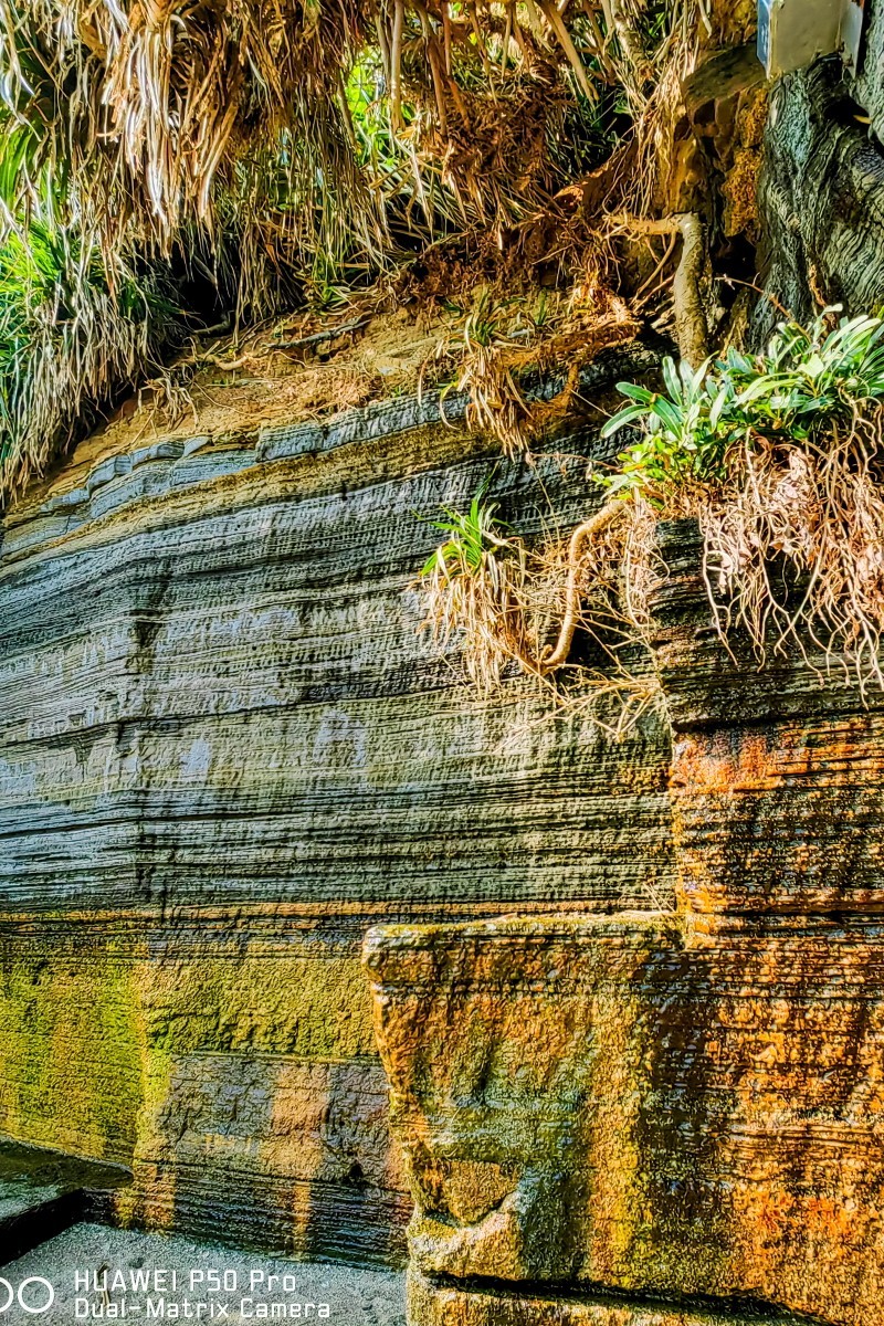 外出随拍（412）.