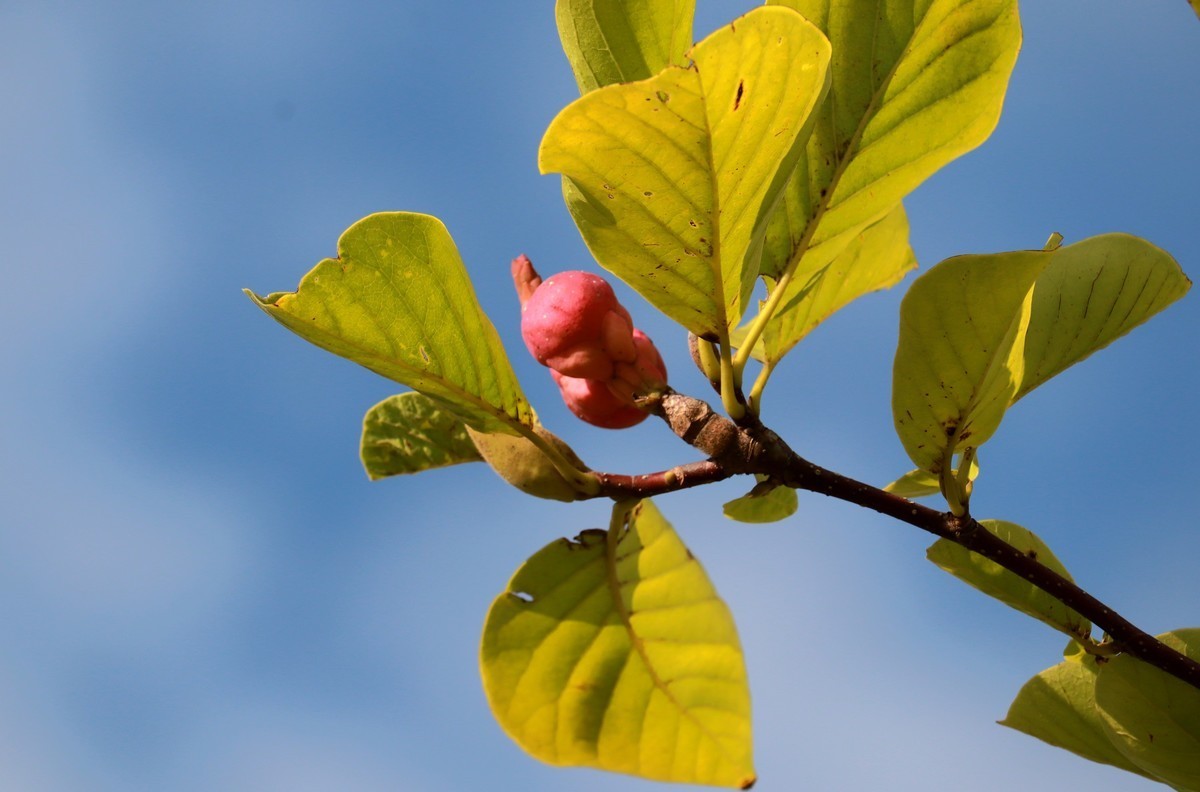 #九月精品学习@#