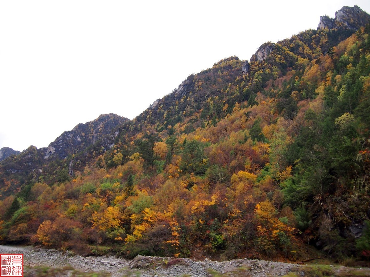 2023寻秋色（41）－－－结束