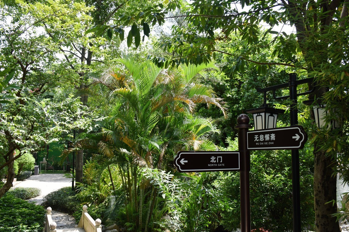 2023秋 广东行（17）出梁园  有感慨