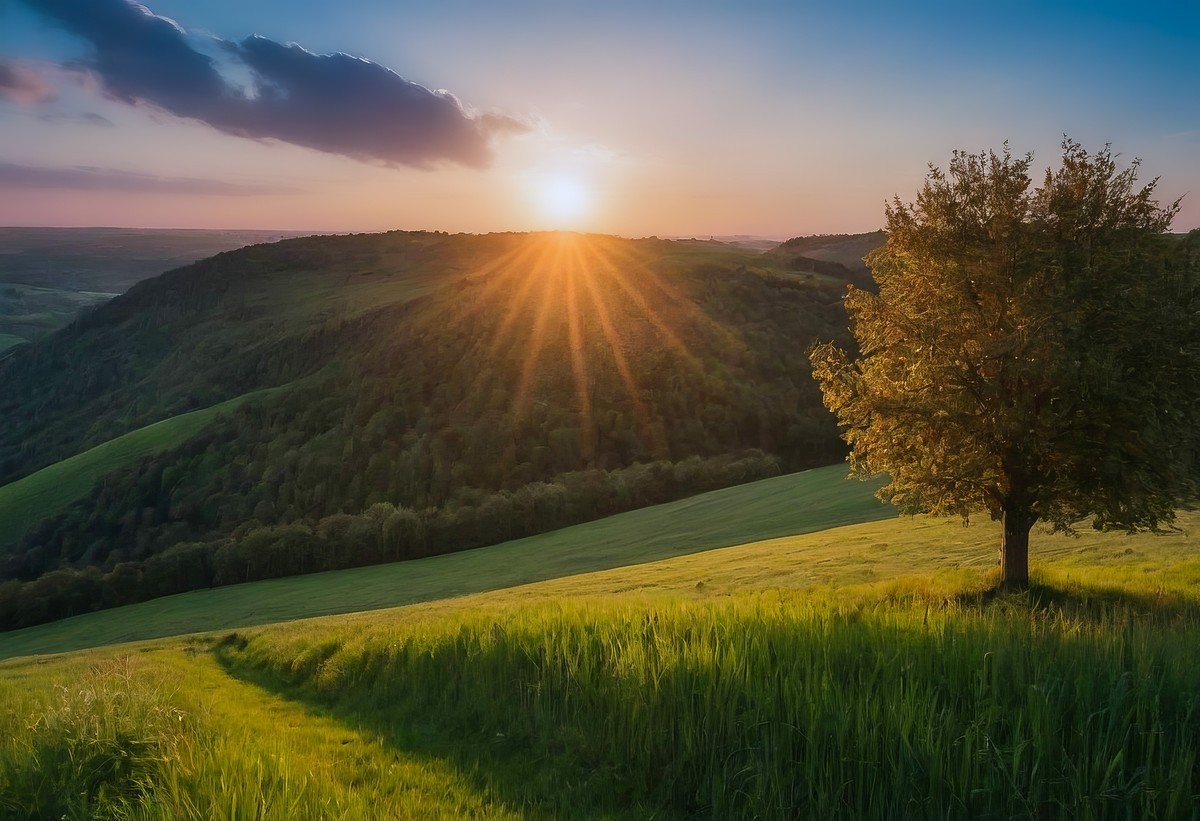 大自然的日出盛宴：心灵的滋养与成长