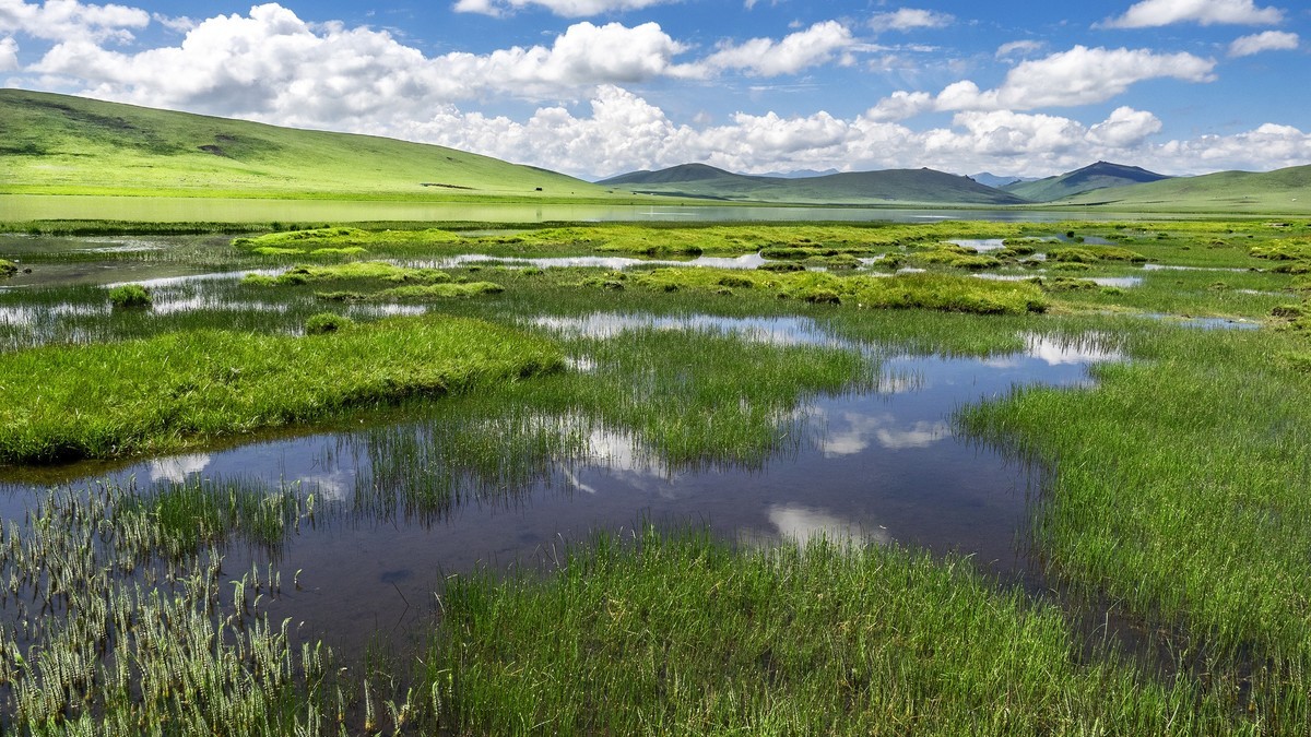 盛夏七月去看高原