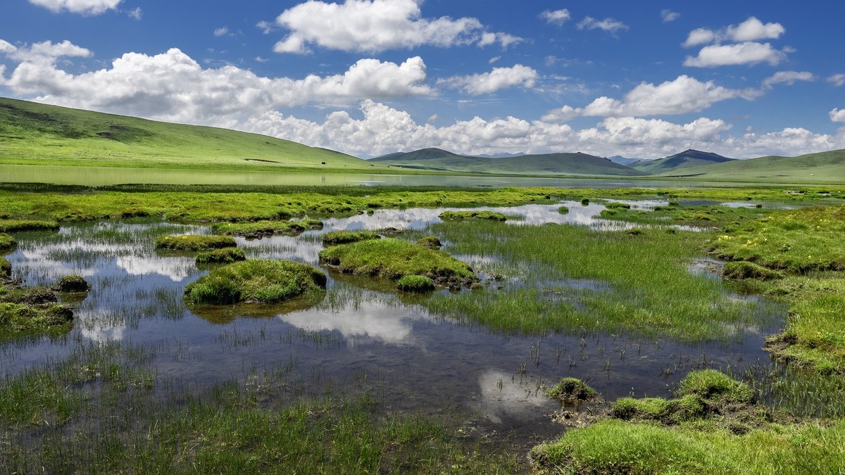 盛夏七月去看高原