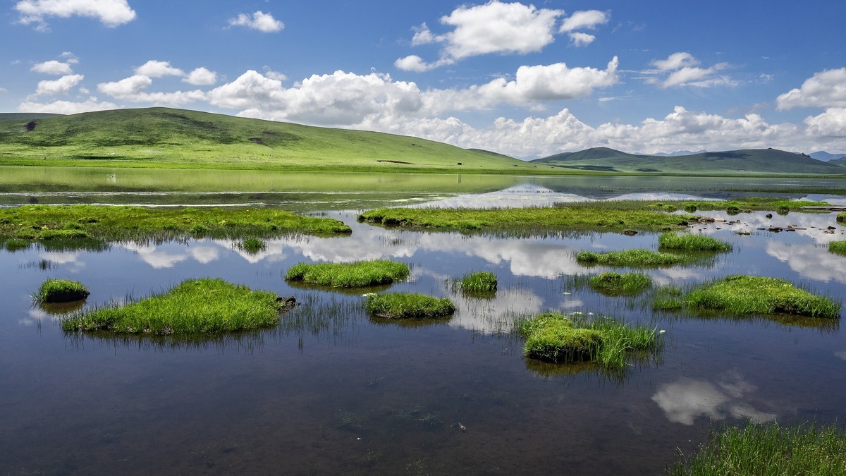 盛夏七月去看高原