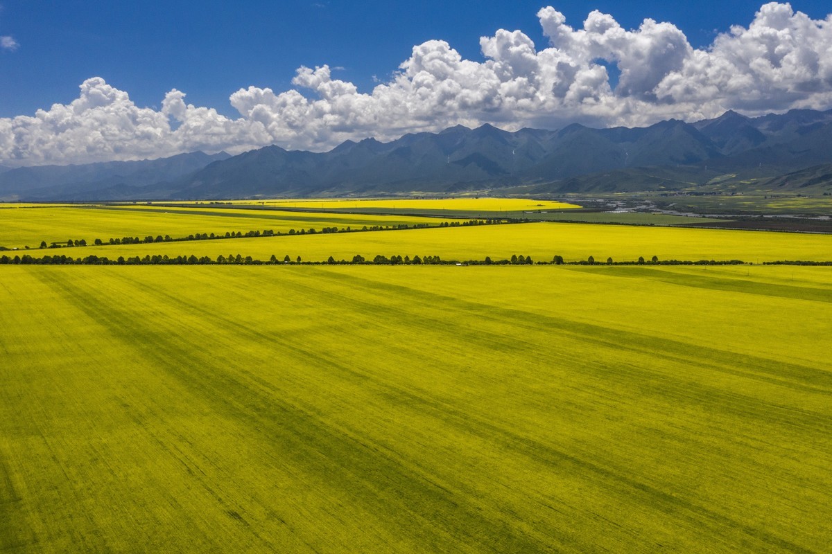 盛夏七月去看高原