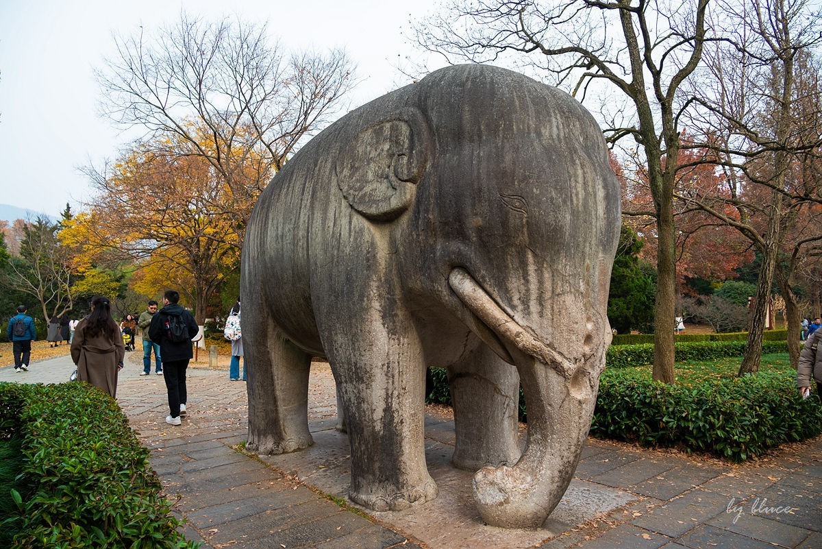 明孝陵冬色（下）---醉美石象路