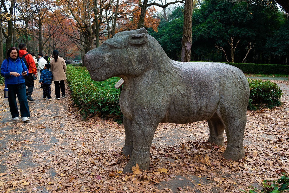 明孝陵冬色（下）---醉美石象路