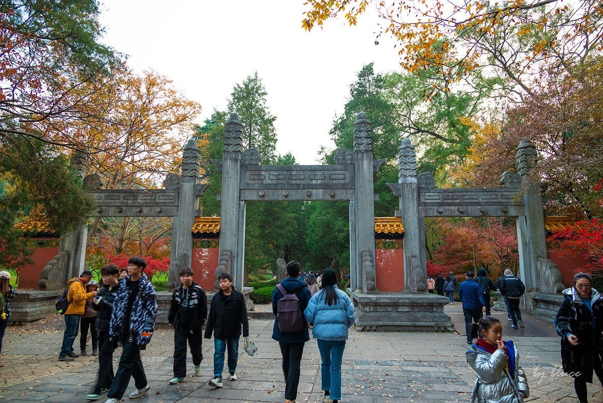 明孝陵冬色（下）---醉美石象路