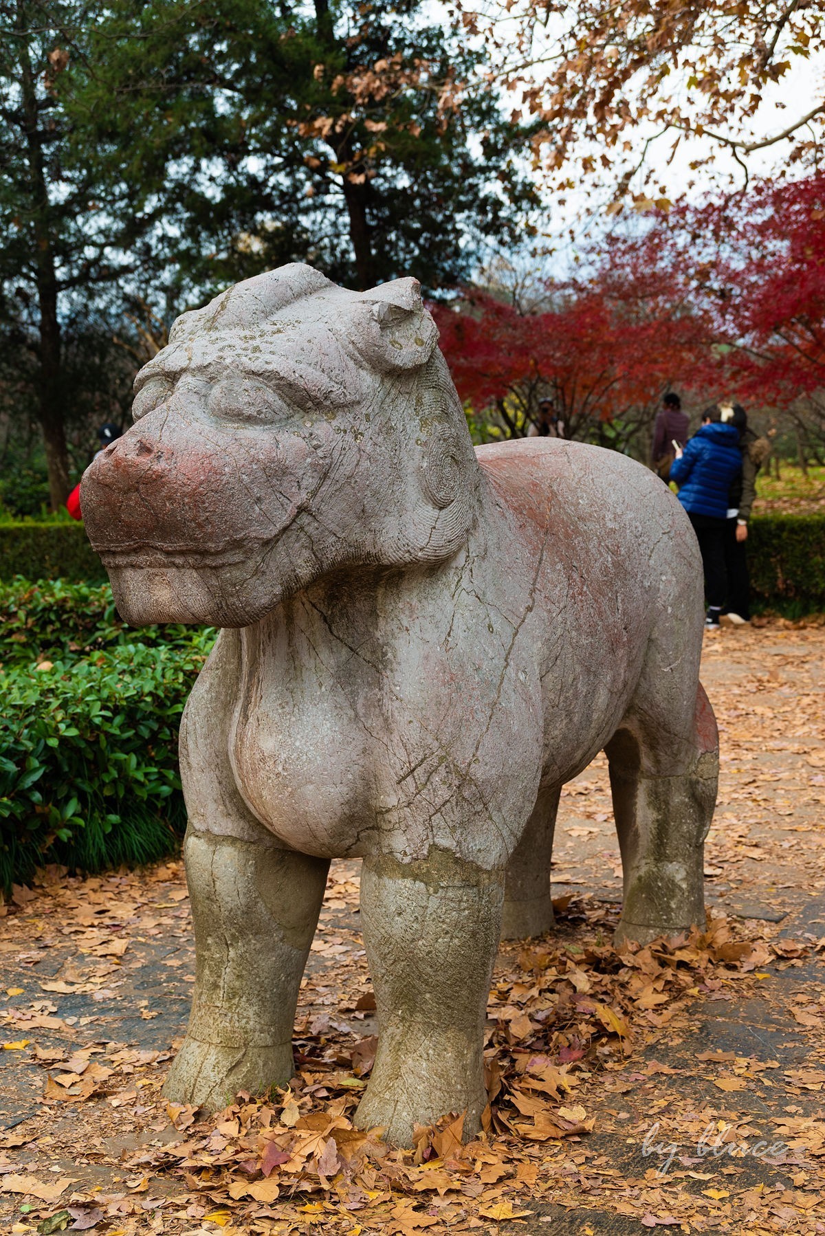 明孝陵冬色（下）---醉美石象路