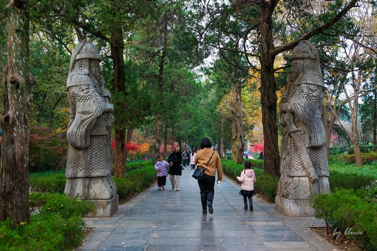 明孝陵冬色（下）---醉美石象路